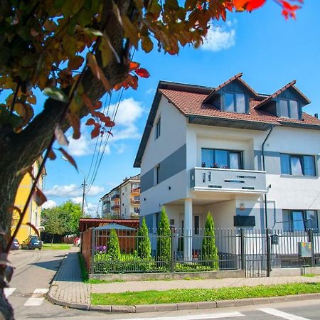 Vila Roza Sighetu Marmaţiei Exterior foto